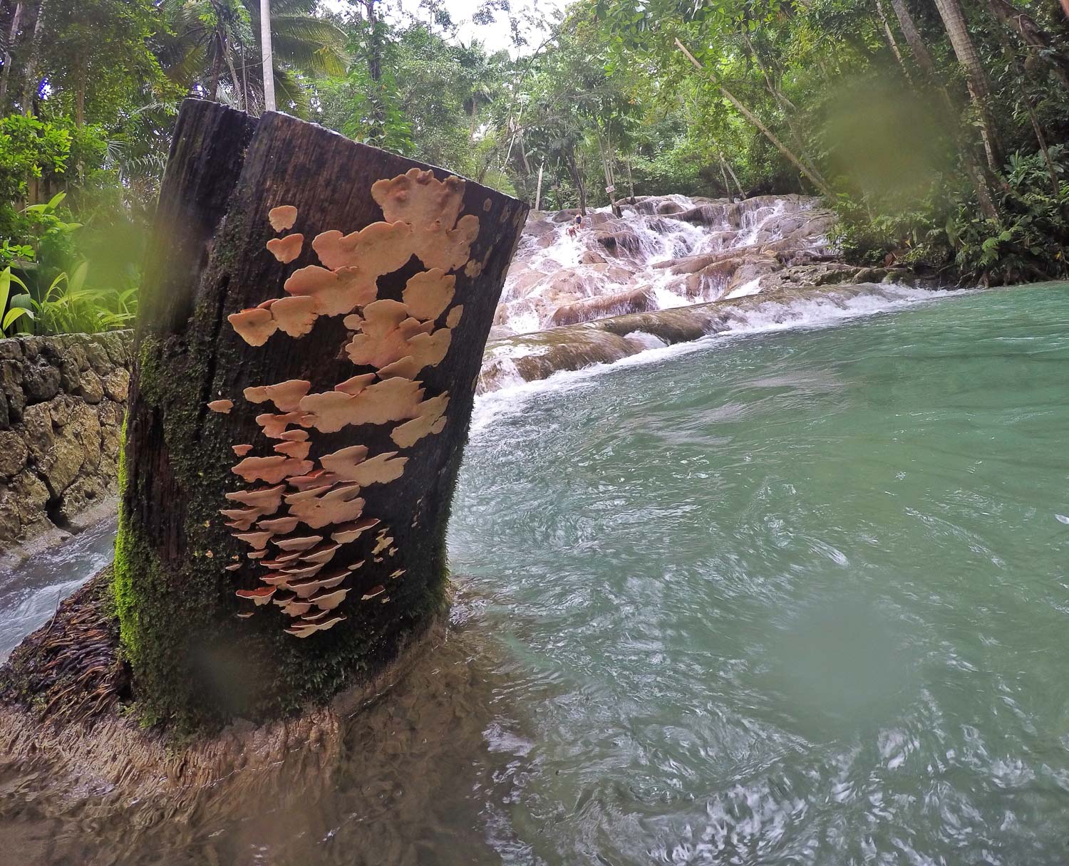 dunns river falls