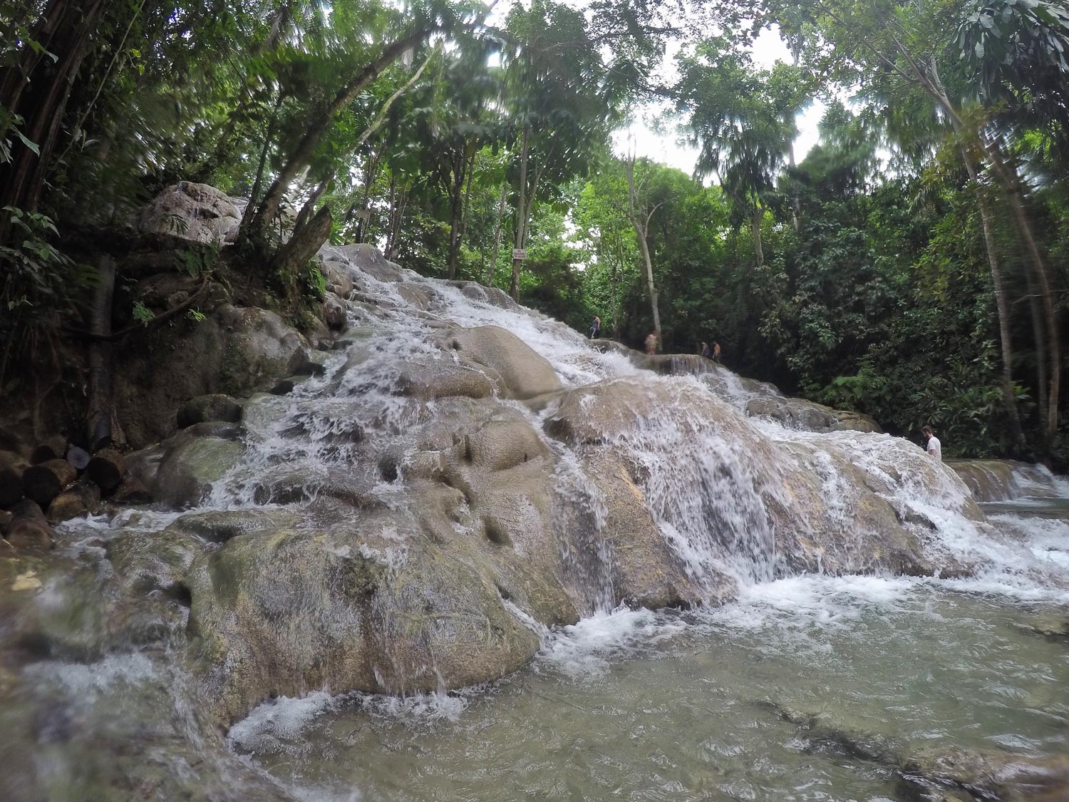 dunn's river falls