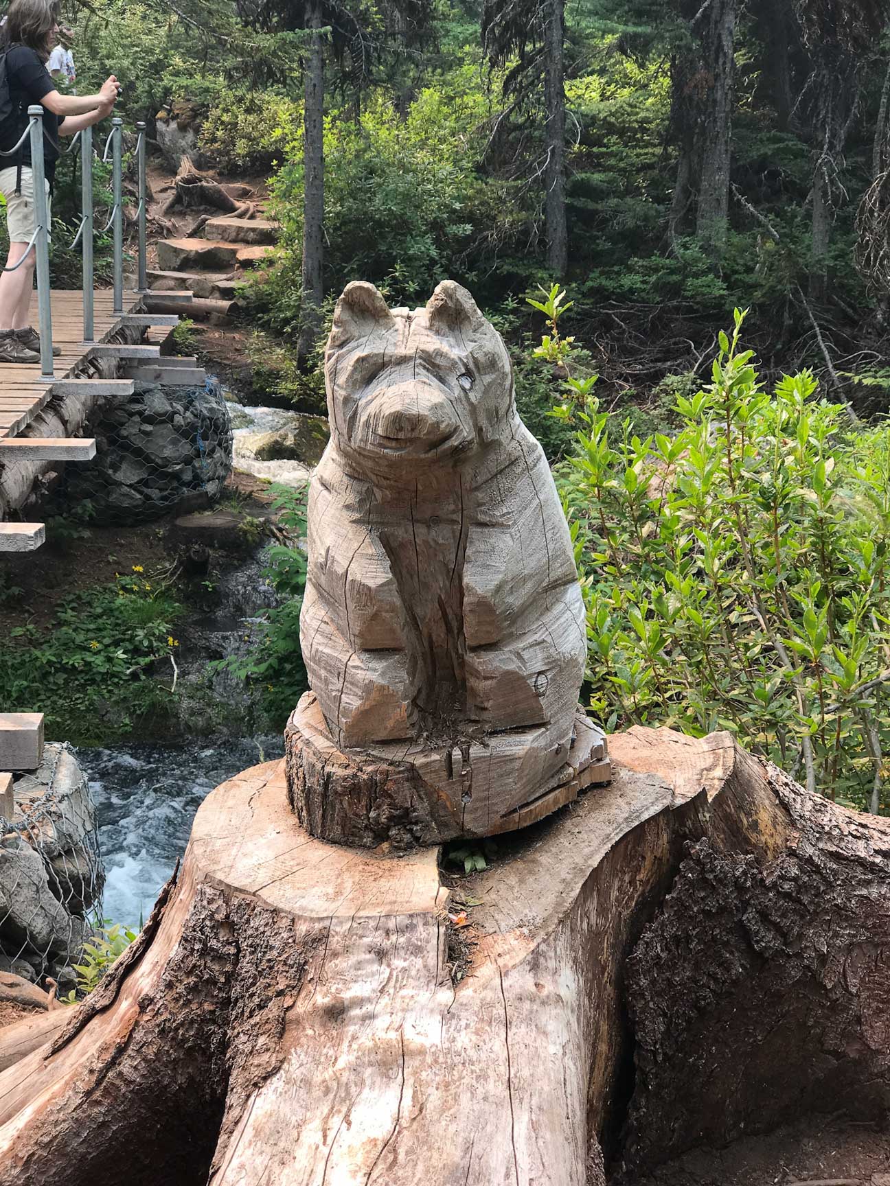 bear at joffre lakes