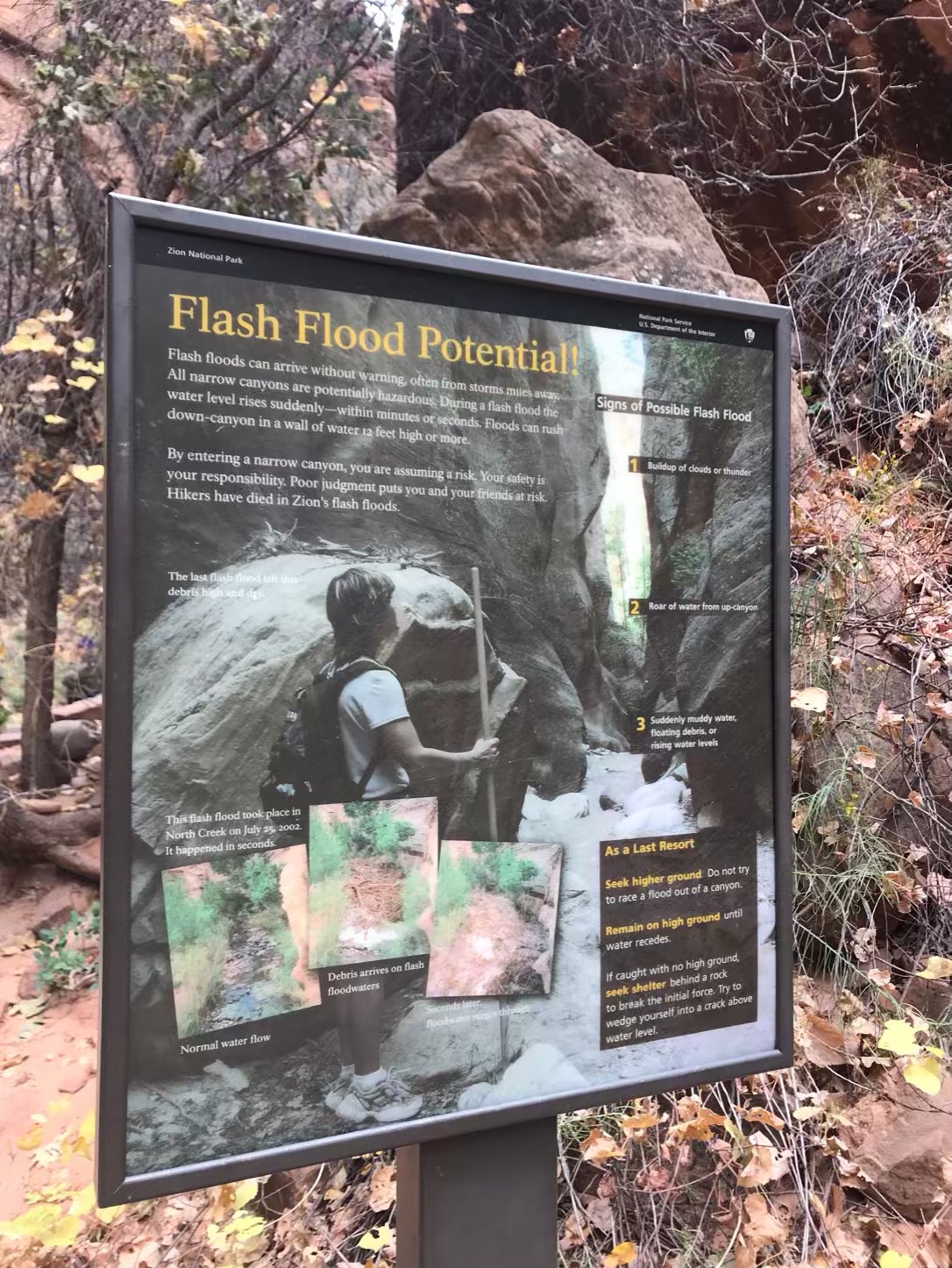 flash flood zion narrows