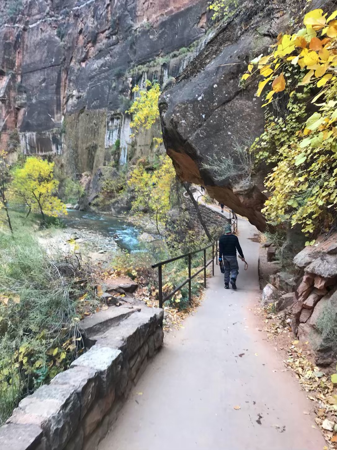 zion narrows start