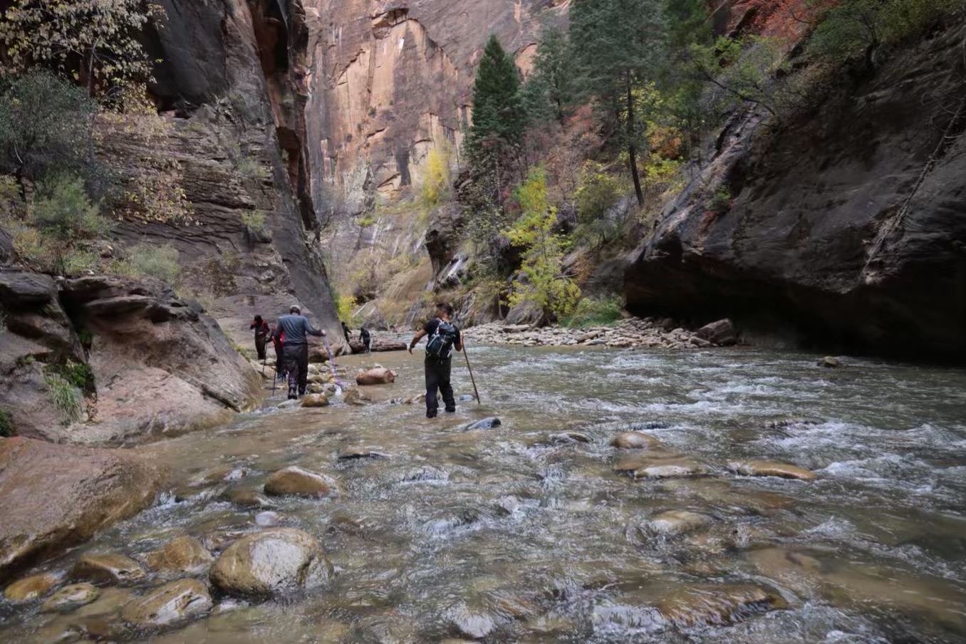 zion narrows mop stick