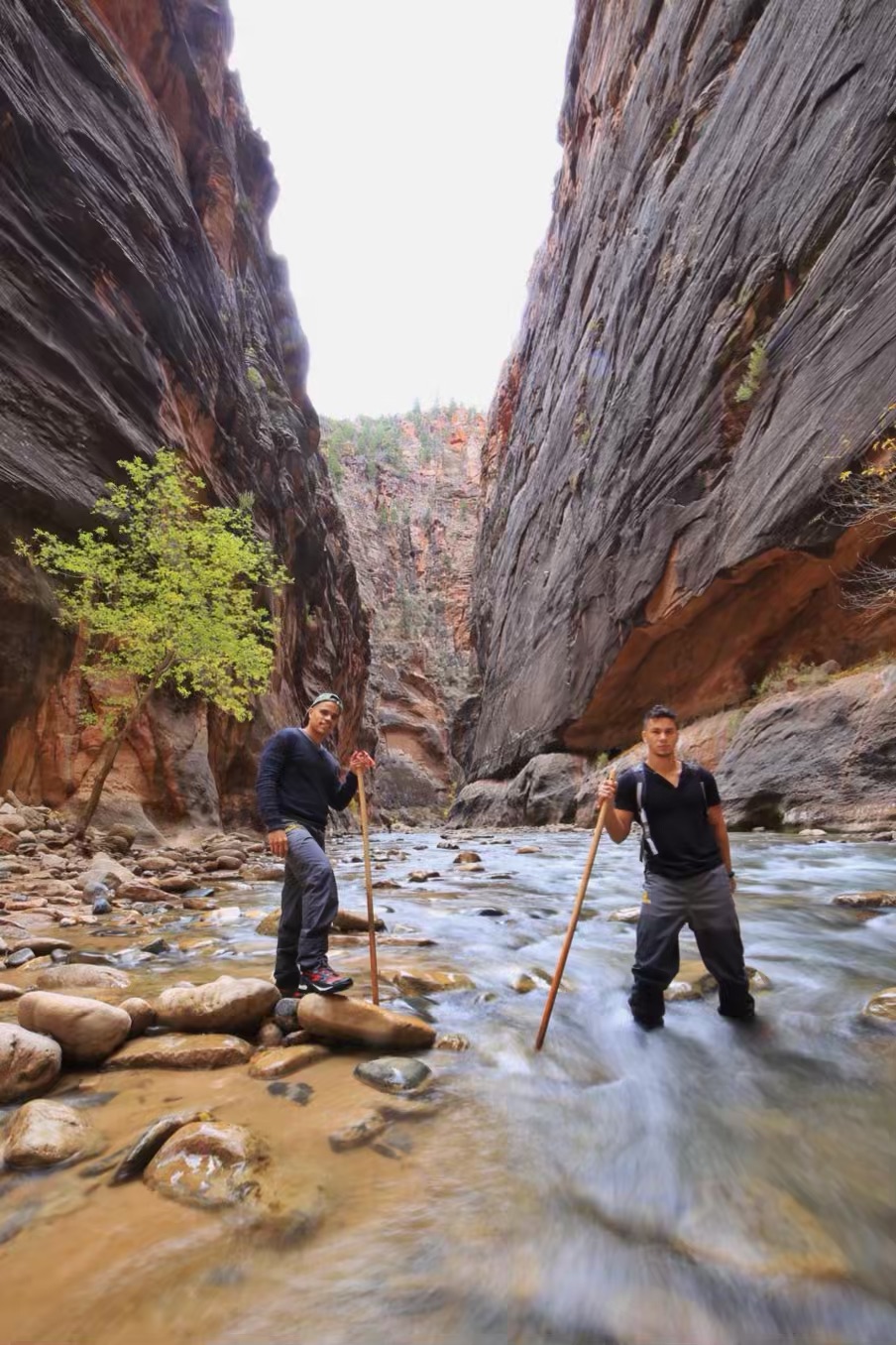 zion narrows