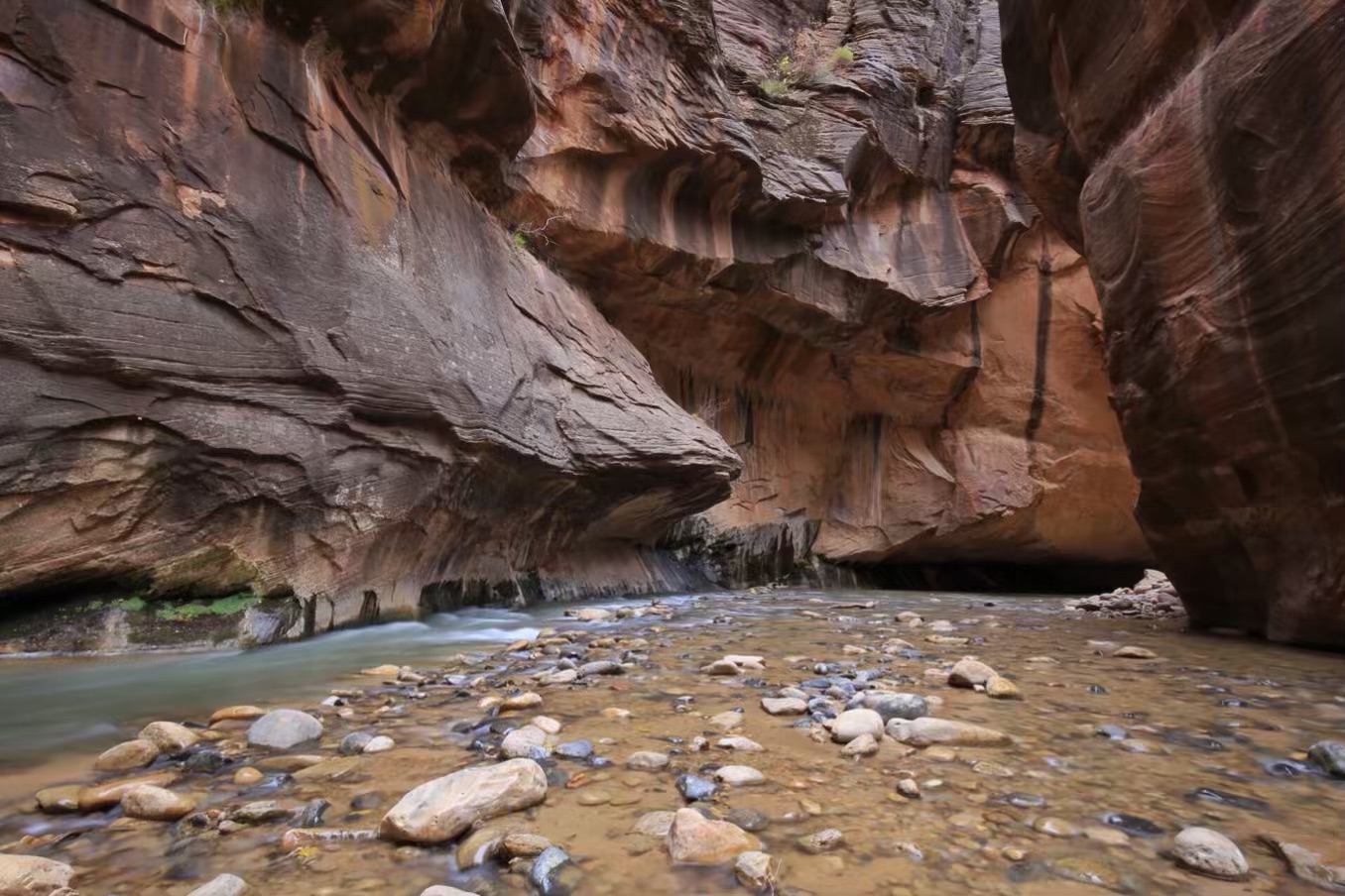 zion narrows