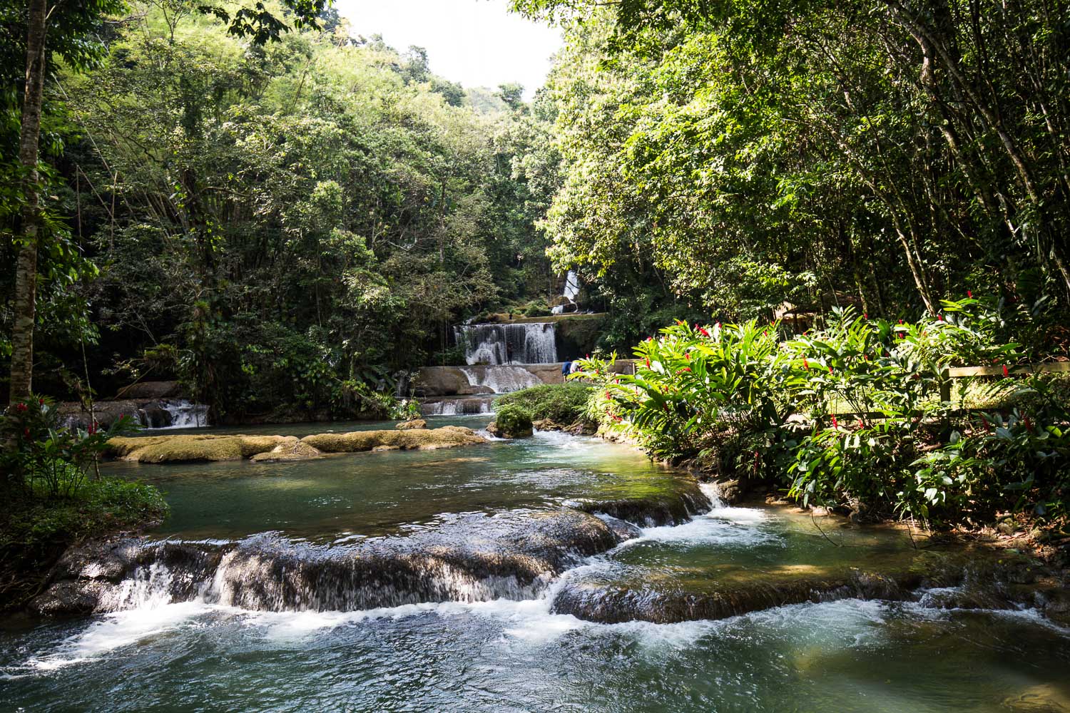 y.s falls jamaica