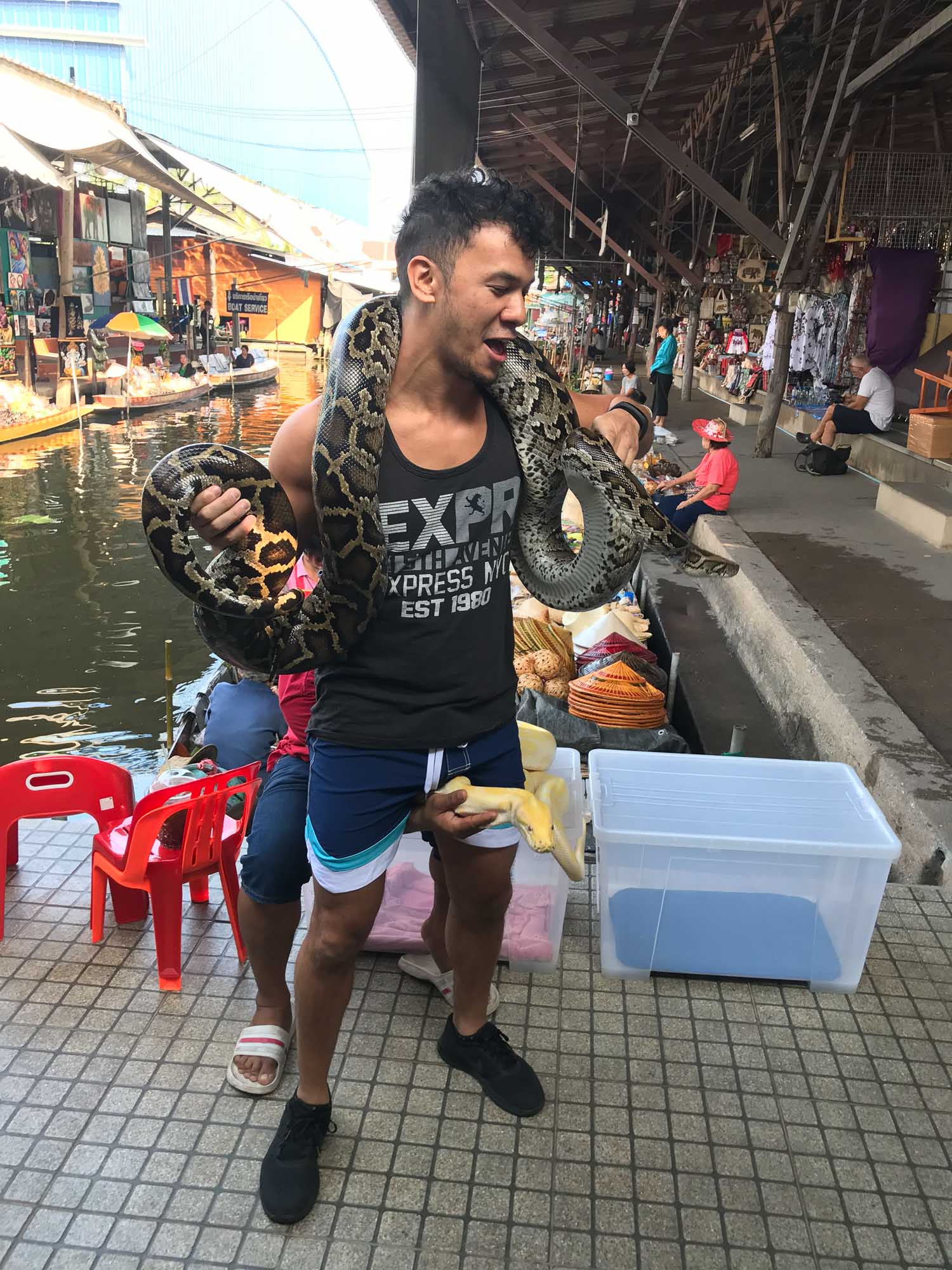 snake in thailand