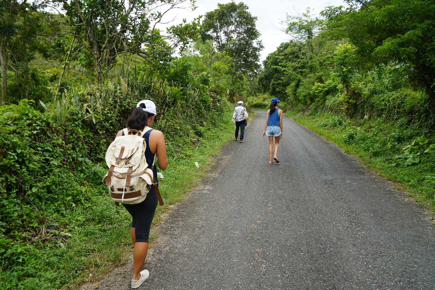 countryside jamaica