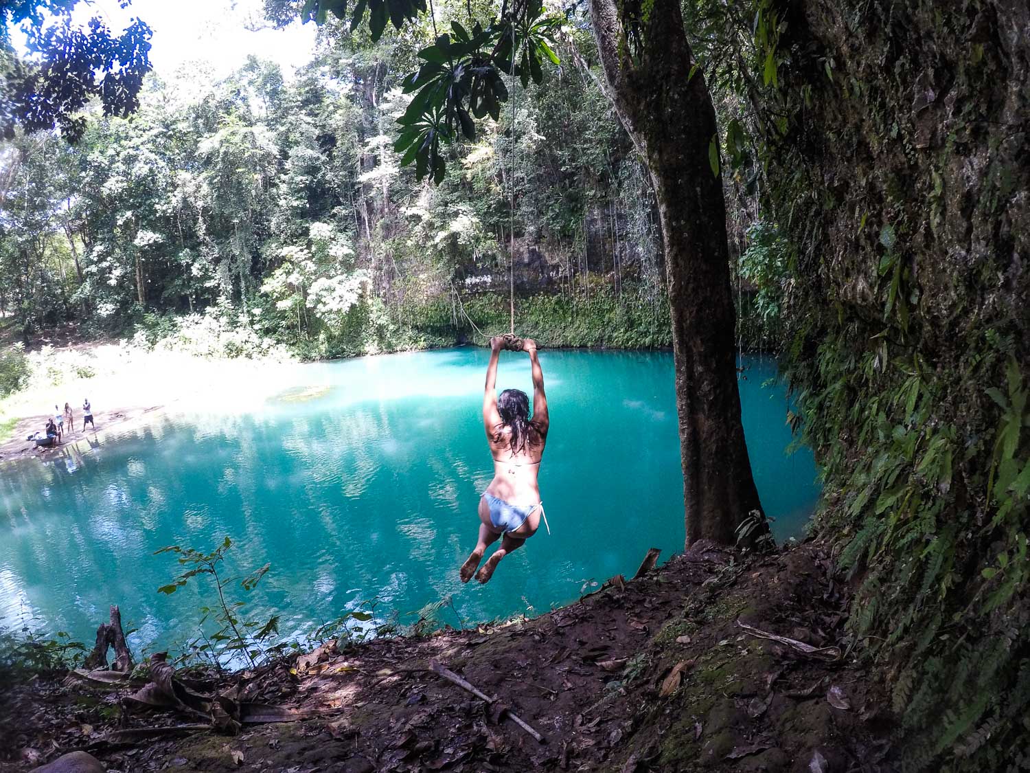 swing Dornoch River Head Jamaica