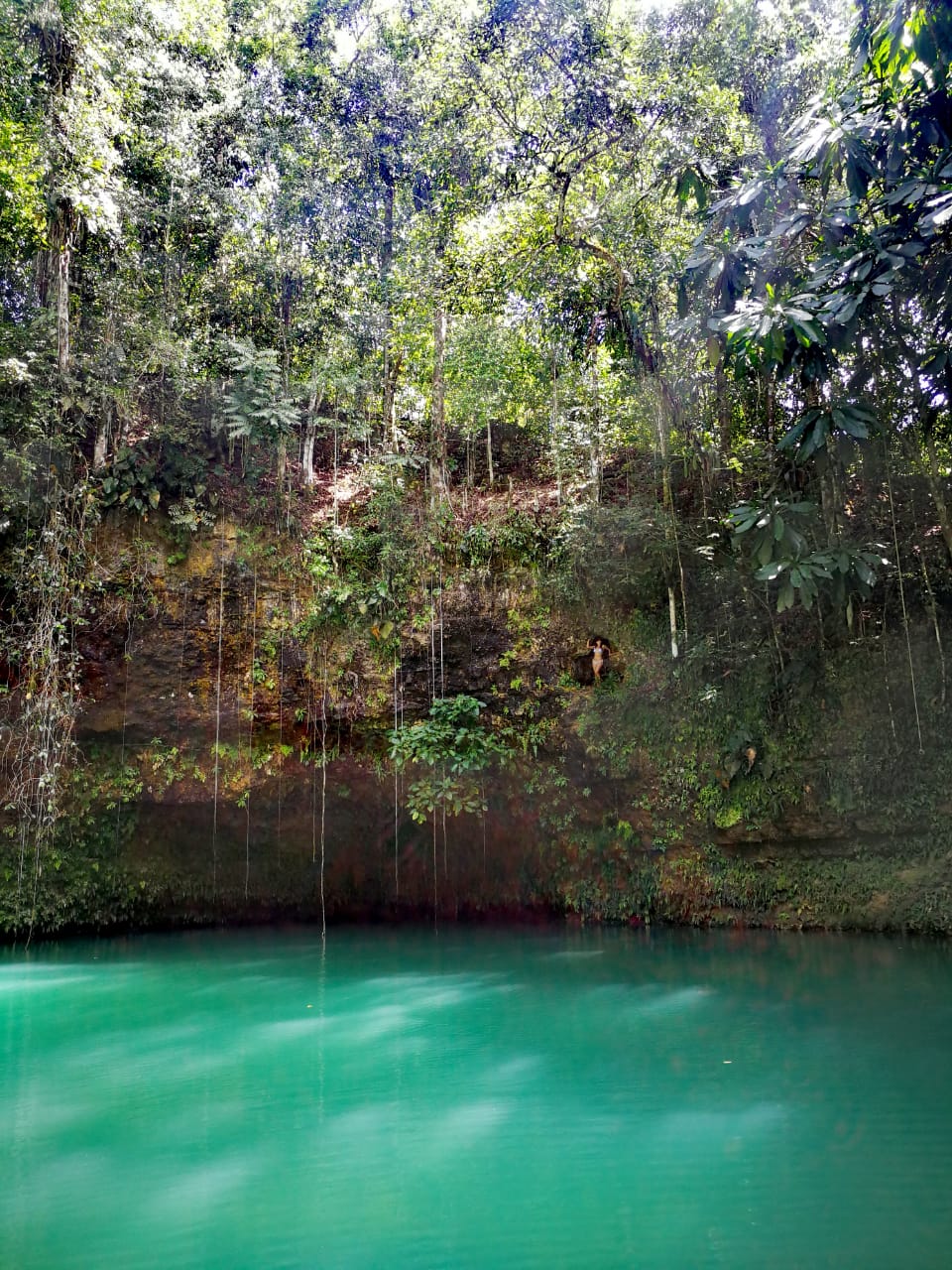 Dornoch River Head Jamaica