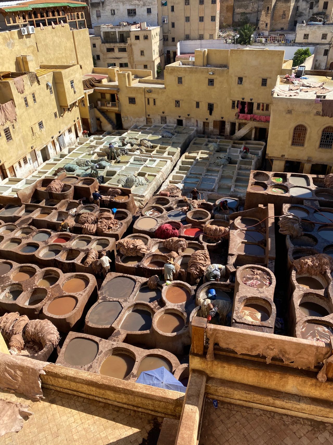 Tannery in Fez